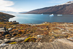 f8x_Harefjord_03Sept13_031