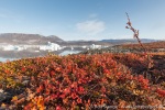 190902b_Renodden_38