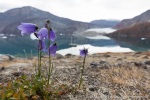 190903c_Harefjord_90