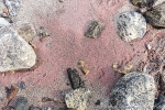 b2r_fonfjord_04sept15_22