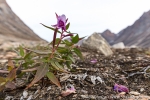 b2r_fonfjord_04sept15_50