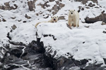 c8_nordenskjoldbreen_28sept12_31-jpg