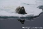 b3_Ice82N_09Jul06_043