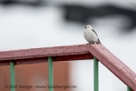 c8p_Pyramiden_03Mai13_105