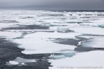 190630c_Eis_09