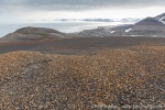 190708b_Kvalvaagen_120