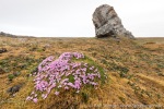 190711a_Tordenskjoldbukta_59