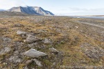 190711b_Ymerbukta_26