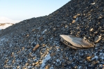 c6e_Elfenbeinbr-E_17April13_002