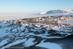 c6e_Elfenbeinbr-E_17April13_094
