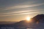 c6j_Elfenbeinbreen-E_18April13_09