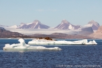 180801e_kongsfjord_29