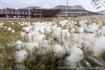 180817b_longyearbyen_03