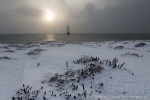 b1d_blomstrand_19sept14_042