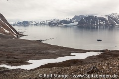 IsbjørnhamnaHansbreen