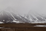 Spitzbergen Juni 2012