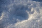 220916a_Faksevaagen_008_D