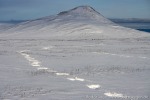 220916a_Faksevaagen_077_D