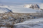 220916a_Faksevaagen_088_D