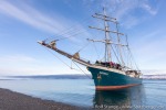 220916b_Hingstsletta_31_D