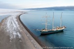 220916b_Hingstsletta_37_D
