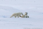 220916b_Hingstsletta_78_D