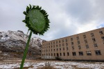 220921a_Pyramiden_60_D