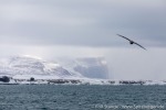 220502c_Kapp-Duner_167_D