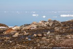 220602c_Biskayarhuken_045_D