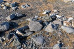 220602c_Biskayarhuken_146_D