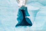 160724b_Braasvellbreen_124_D
