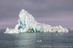 220901_Braasvellbreen_082_D