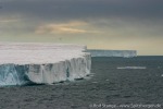 Braasvellbreen_20_July_05-_114_D