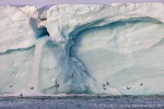 a5l_Brasvellbreen_25Juli14_69_D