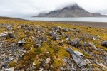 220807_Trygghamna_42_D