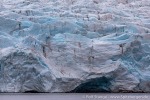 220710c_Nordenskioldbreen_08_D