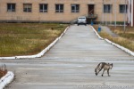 220711b_Pyramiden_066_D