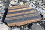 220716a_Dahlbreen_013_D