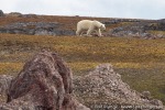 220726b_Kulpodden_15_D