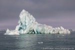 220901_Braasvellbreen_082_D