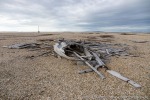 220902a_Augustabukta_029_D