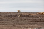 220903b_Gimleodden_05_D