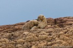 220903b_Gimleodden_35_D