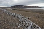 220813a_Vindbukta_009_D