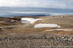 220813a_Vindbukta_042_D