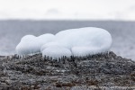 220504a_Midterhukhamna_089_D