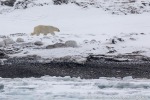 220504a_Midterhukhamna_123_D