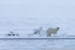 220505d_Ymerbukta_24_D