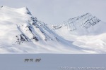 220506b_Erdmannodden_06_D