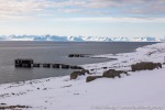 220506c_Colesbukta_026_D